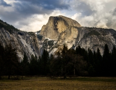 Half-Dome from the meadow